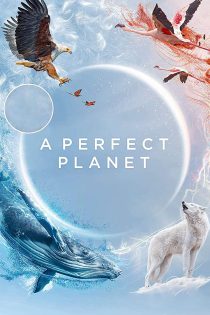 دانلود سریال A Perfect Planet