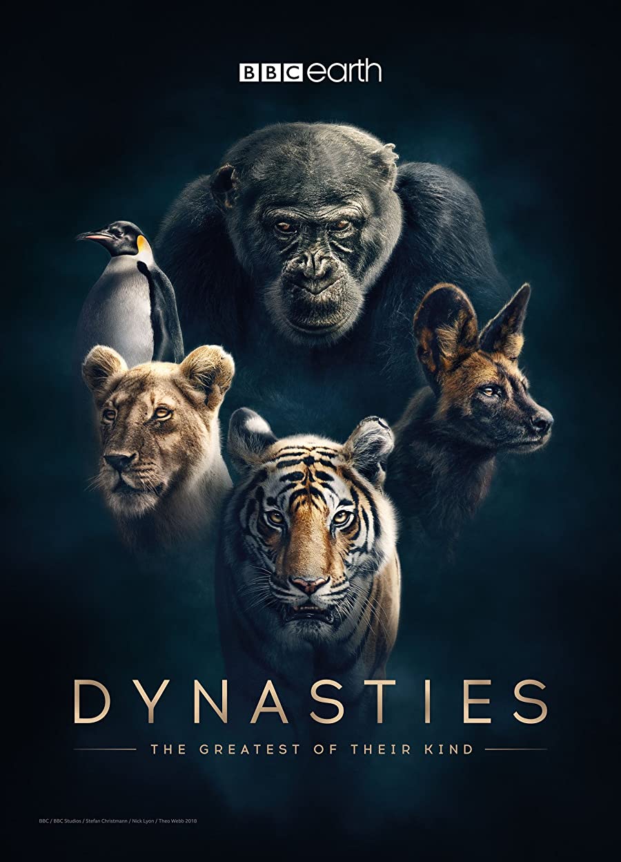 دانلود سریال Dynasties