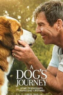 دانلود فیلم A Dog’s Journey 2019