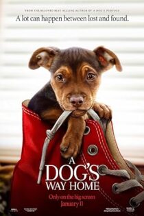 دانلود فیلم A Dog’s Way Home 2019