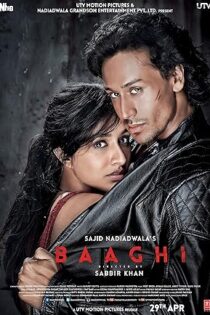 دانلود فیلم Baaghi 2016