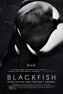 دانلود فیلم Blackfish 2013