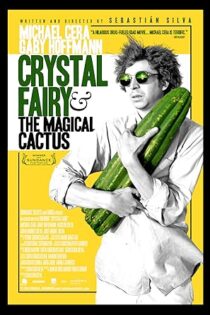 دانلود فیلم Crystal Fairy & the Magical Cactus 2013