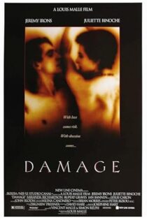 دانلود فیلم Damage 1992