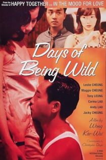 دانلود فیلم Days of Being Wild 1990 دانلود فیلم Days of Being Wild 1990