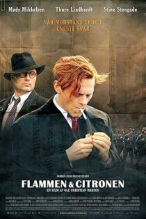 دانلود فیلم Flame & Citron 2008