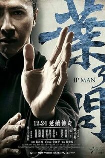 دانلود فیلم Ip Man 3 2015