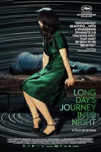 دانلود فیلم Long Day’s Journey Into Night 2018 دانلود فیلم Long Day’s Journey Into Night 2018