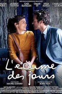 دانلود فیلم Mood Indigo 2013
