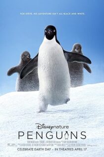 دانلود فیلم Penguins 2019 دانلود فیلم Penguins 2019