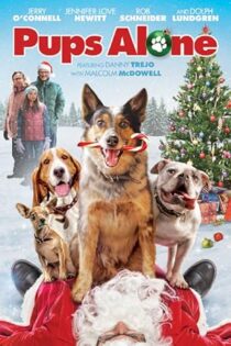 دانلود فیلم Pups Alone 2021 دانلود فیلم Pups Alone 2021