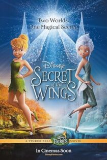 دانلود فیلم Secret of the Wings 2012