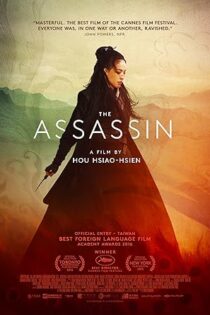 دانلود فیلم The Assassin 2015