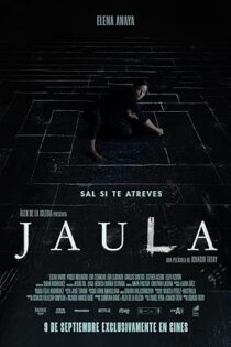 دانلود فیلم The Chalk Line 2022