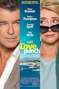 دانلود فیلم The Love Punch 2013